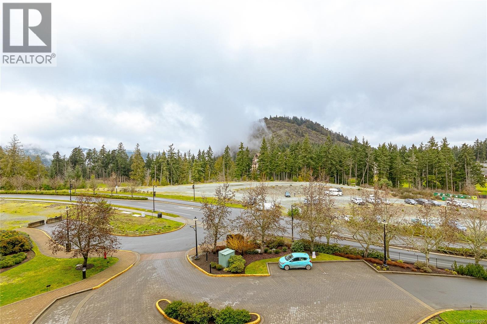 #407 1395 BEAR MOUNTAIN PKWY - 21