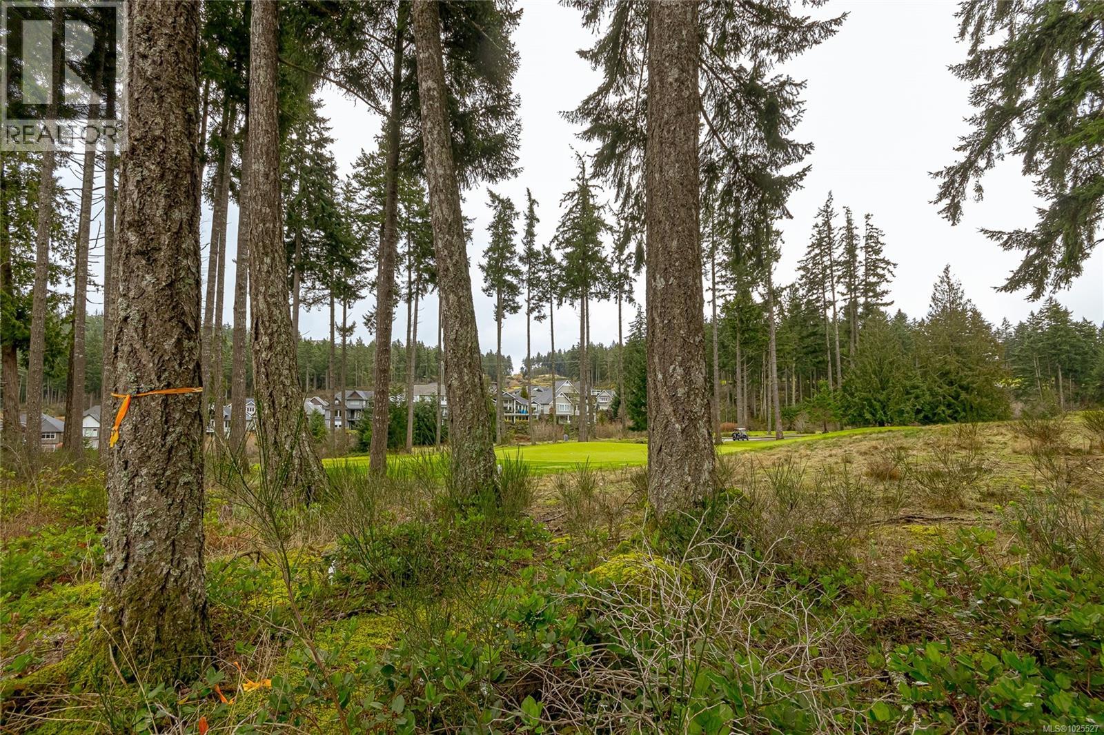 #407 1395 BEAR MOUNTAIN PKWY - 25