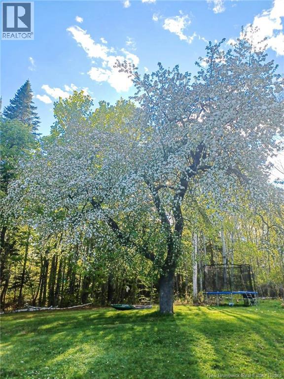 316 Halcomb Road — photo 46