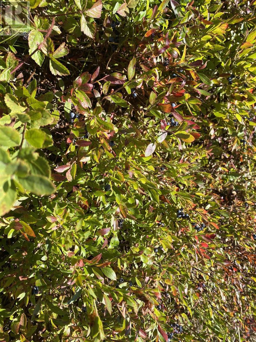 Property 6 of 13 of 3666 Highway 203