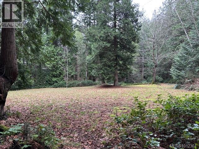 6375 St Johns Point Rd, Hornby Island