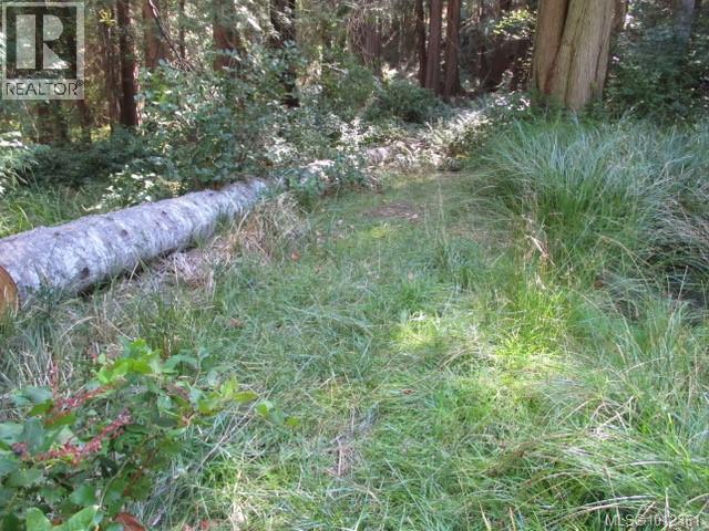 6375 St Johns Point Rd, Hornby Island