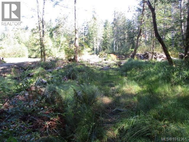 6375 St Johns Point Rd, Hornby Island