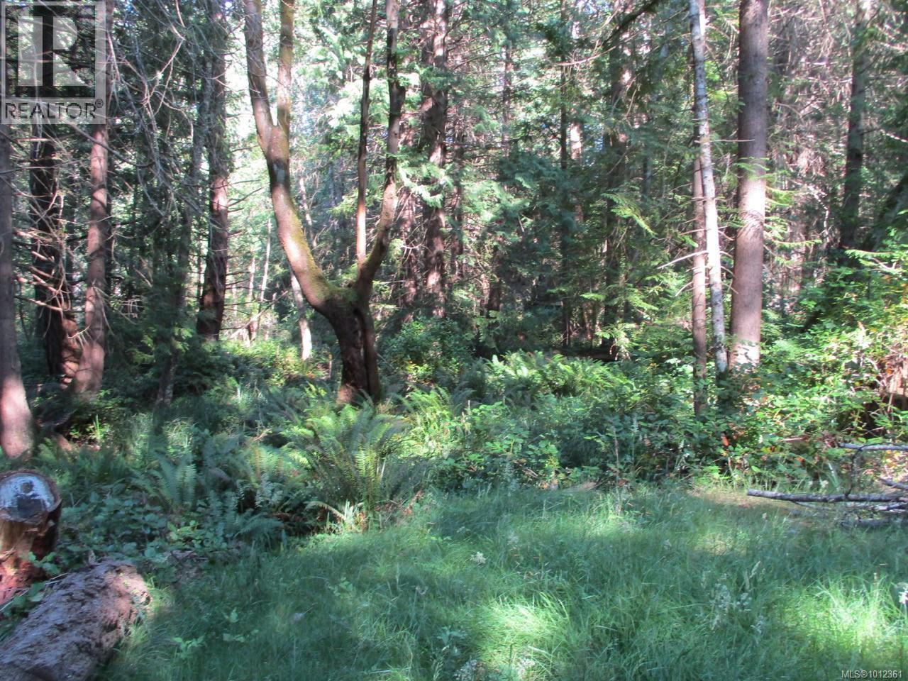 6375 St Johns Point Rd, Hornby Island