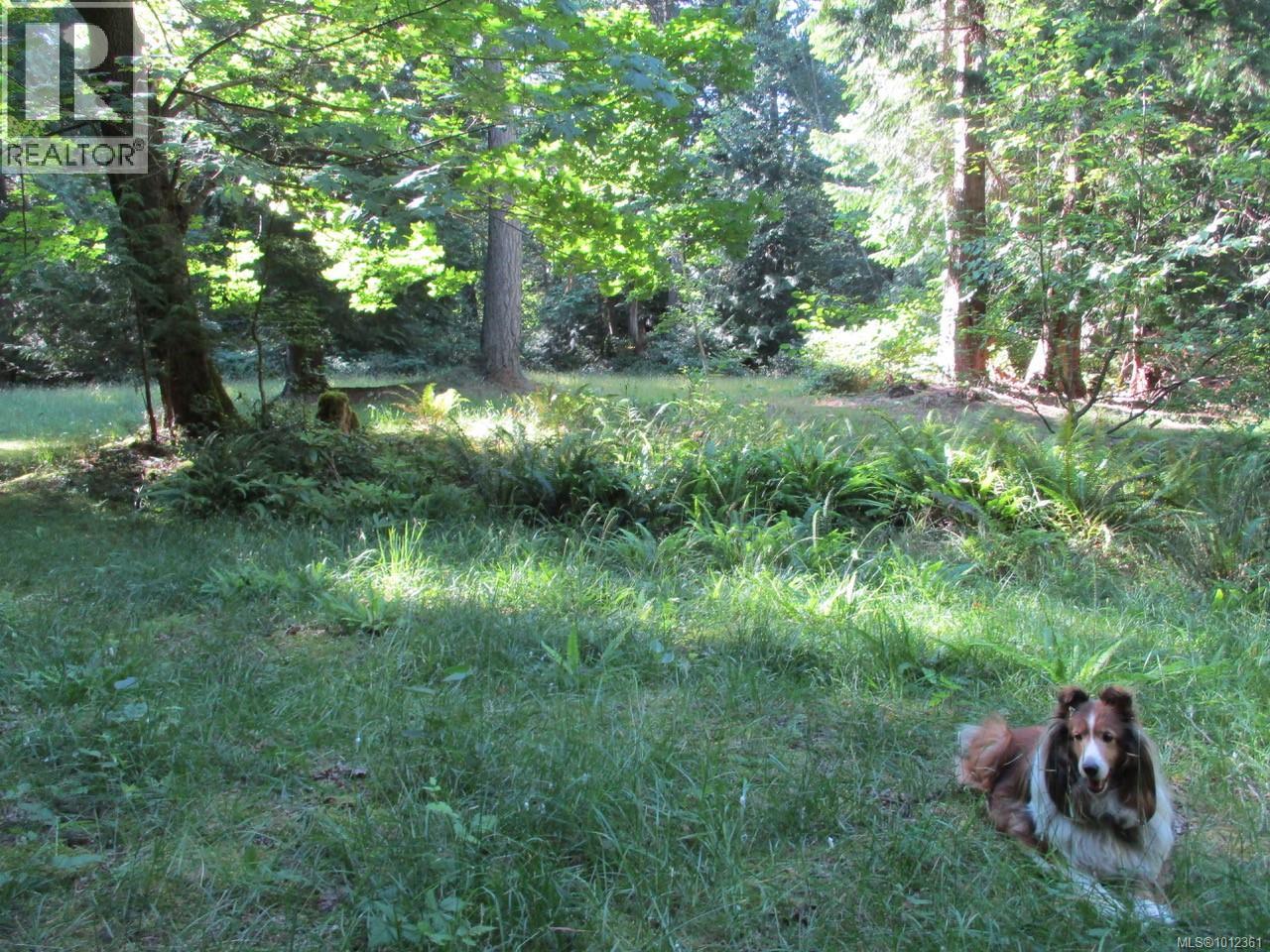 6375 St Johns Point Rd, Hornby Island