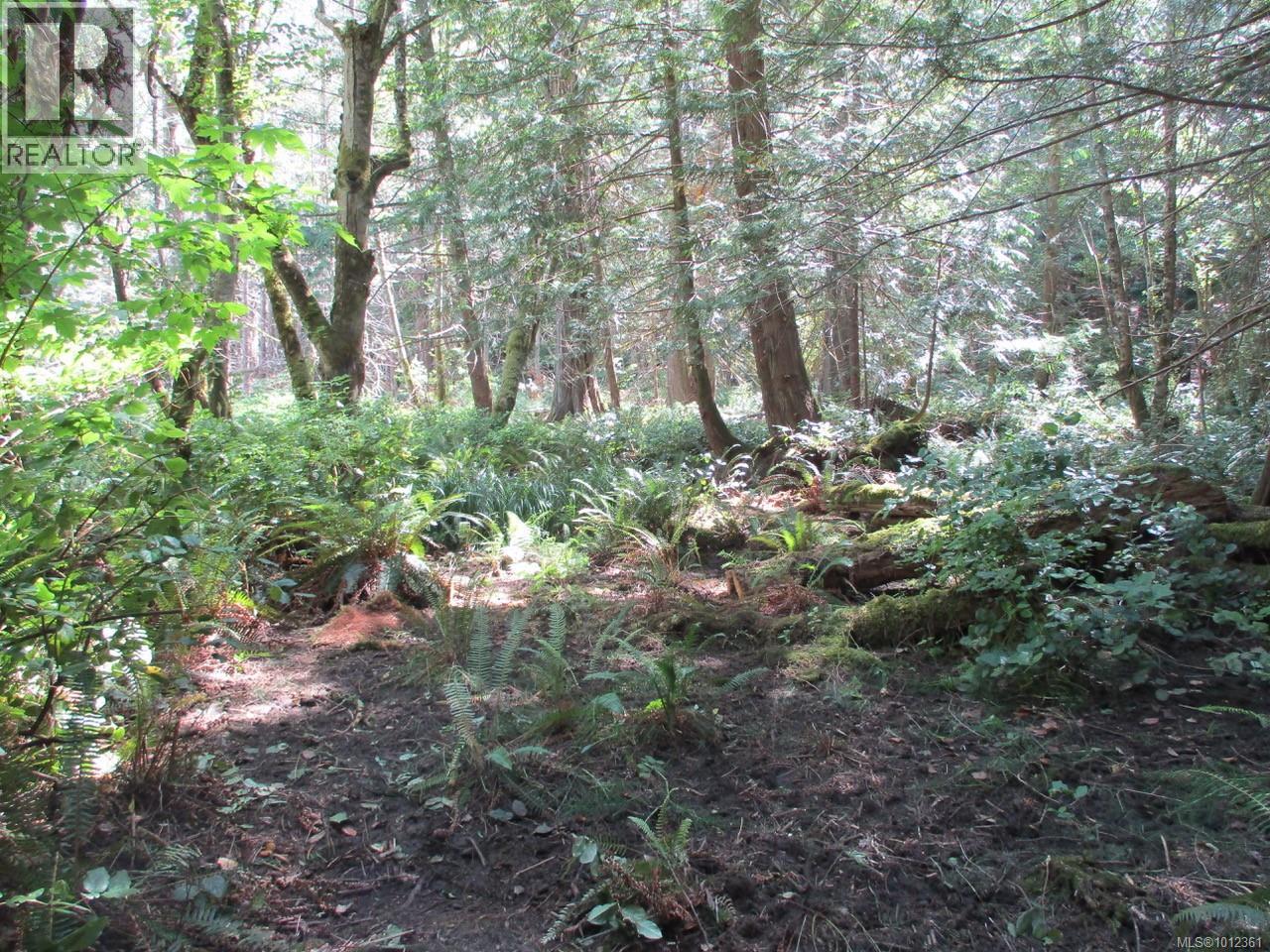 6375 St Johns Point Rd, Hornby Island