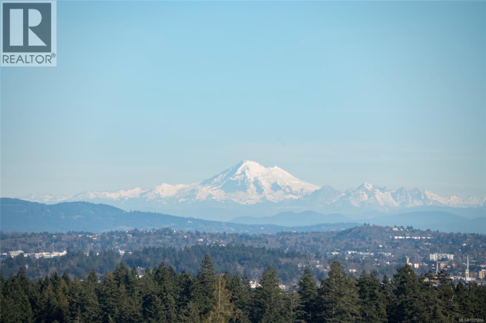 3354 Haida Dr - 61