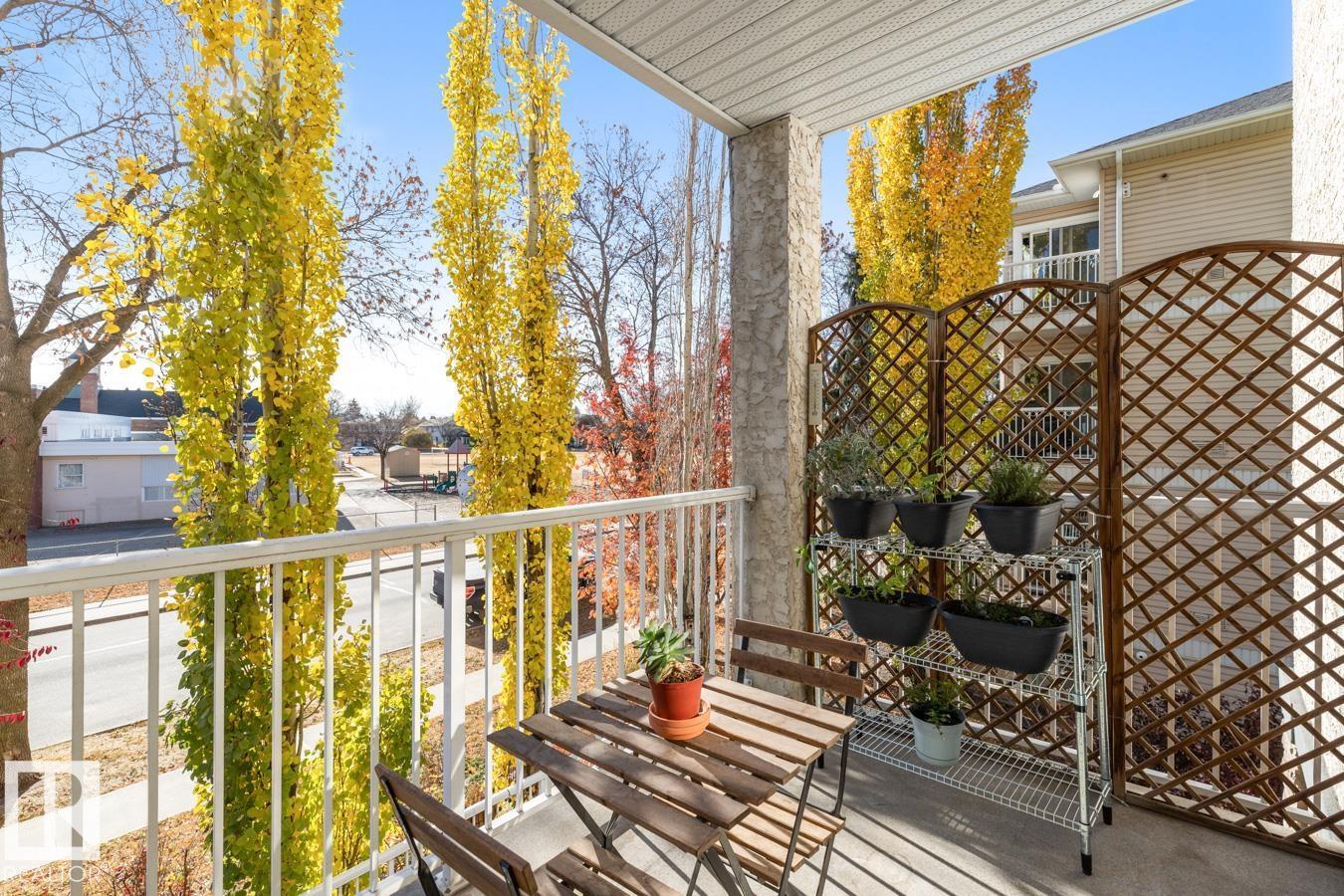 #202 10524 77 AV NW, Edmonton