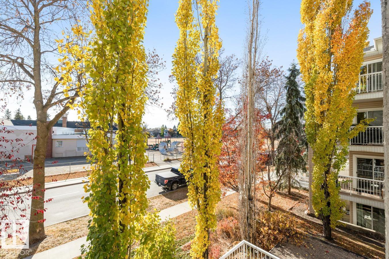 #202 10524 77 AV NW, Edmonton