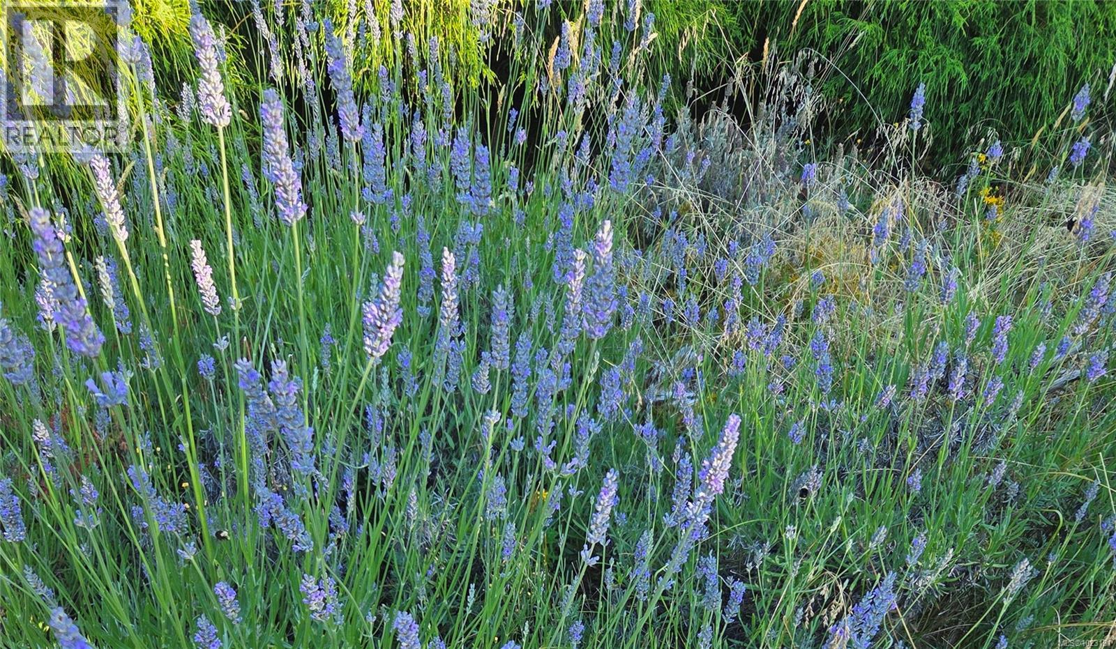 3271 Dolphin Dr, Nanoose Bay