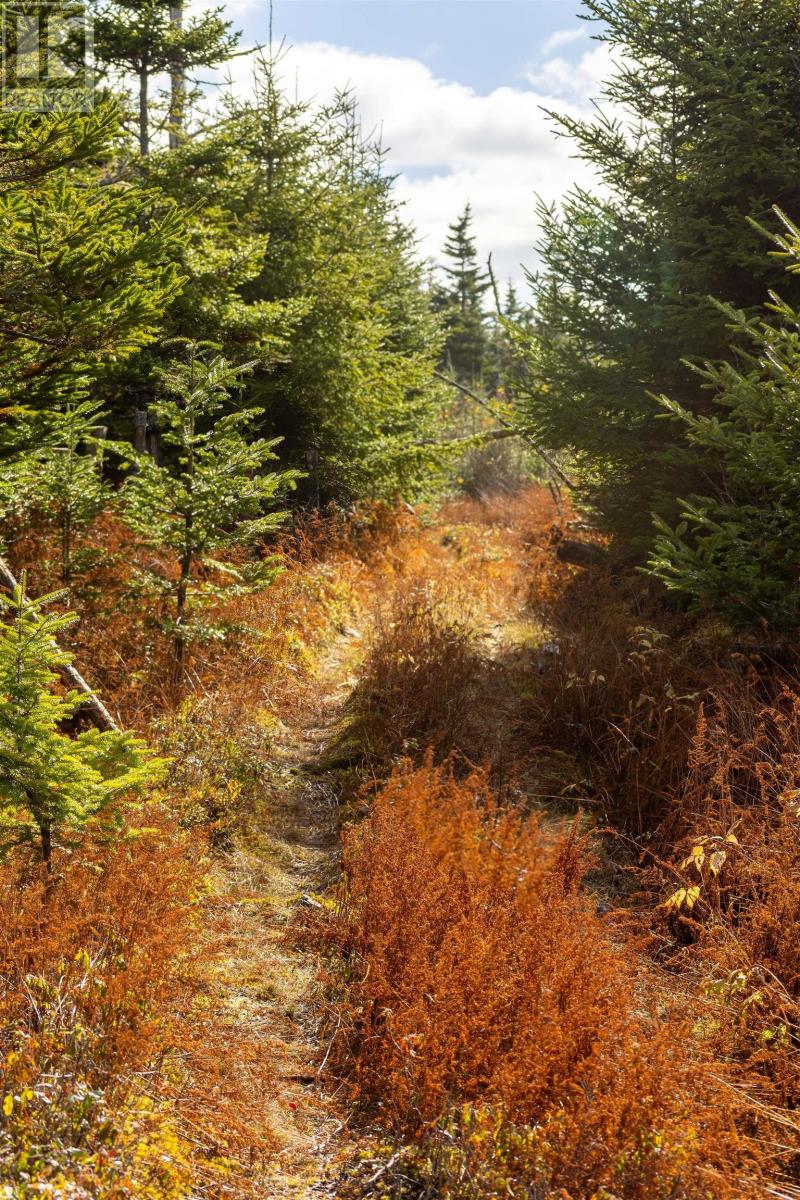 Property 14 of 49 of Acreage Sonora Road