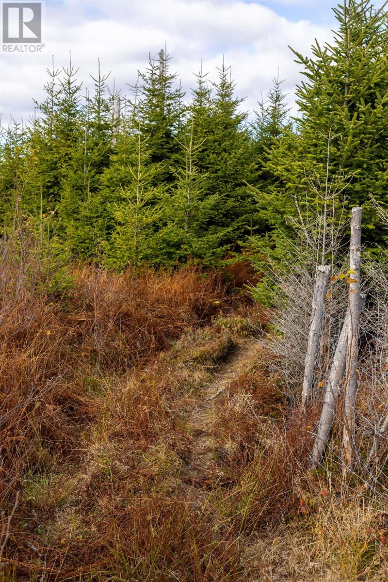 Property 16 of 49 of Acreage Sonora Road