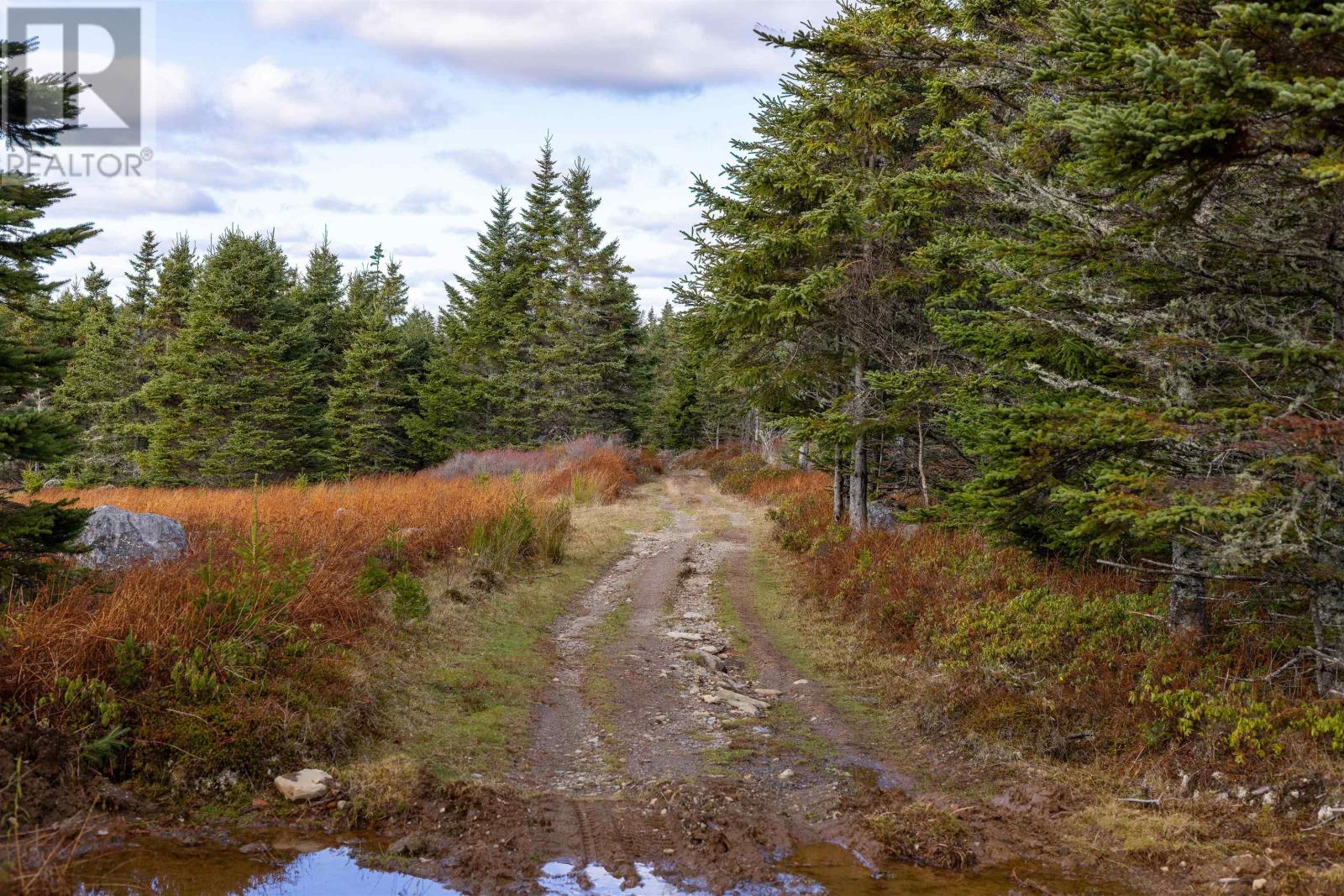 Property 38 of 49 of Acreage Sonora Road