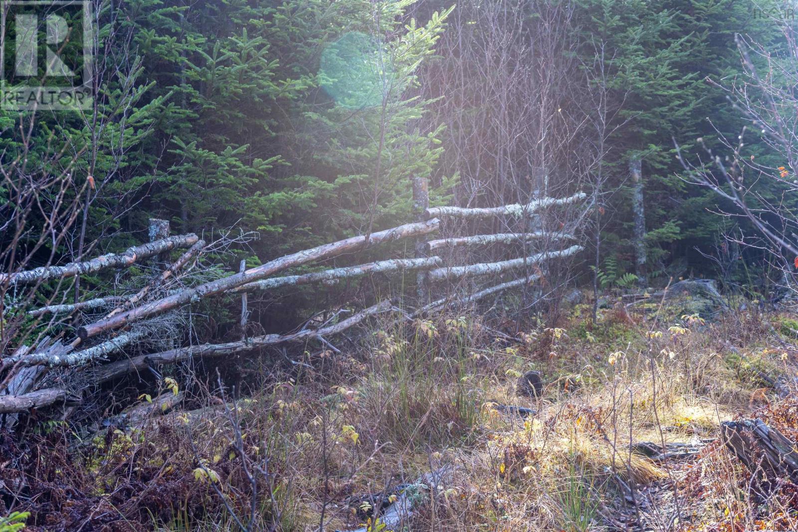 Property 13 of 49 of Acreage Sonora Road