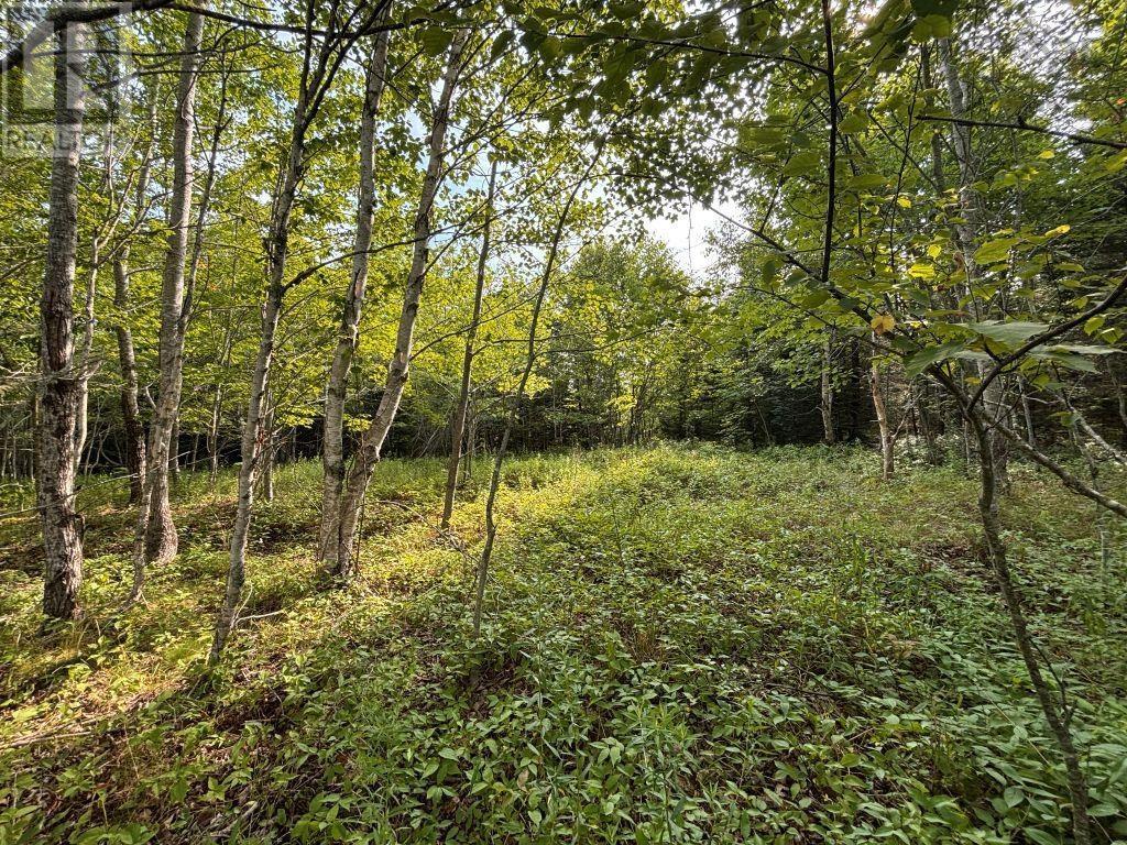 Property 4 of 4 of Lot 82-2 Lays Lake Road