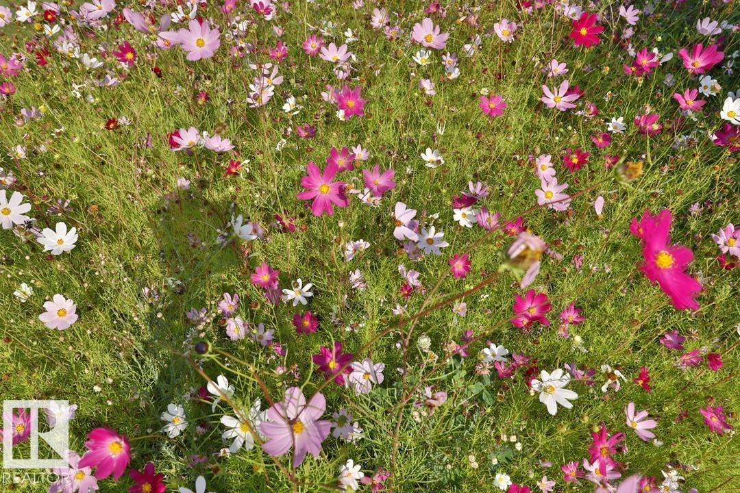 #102 10549 87 AV NW, Edmonton