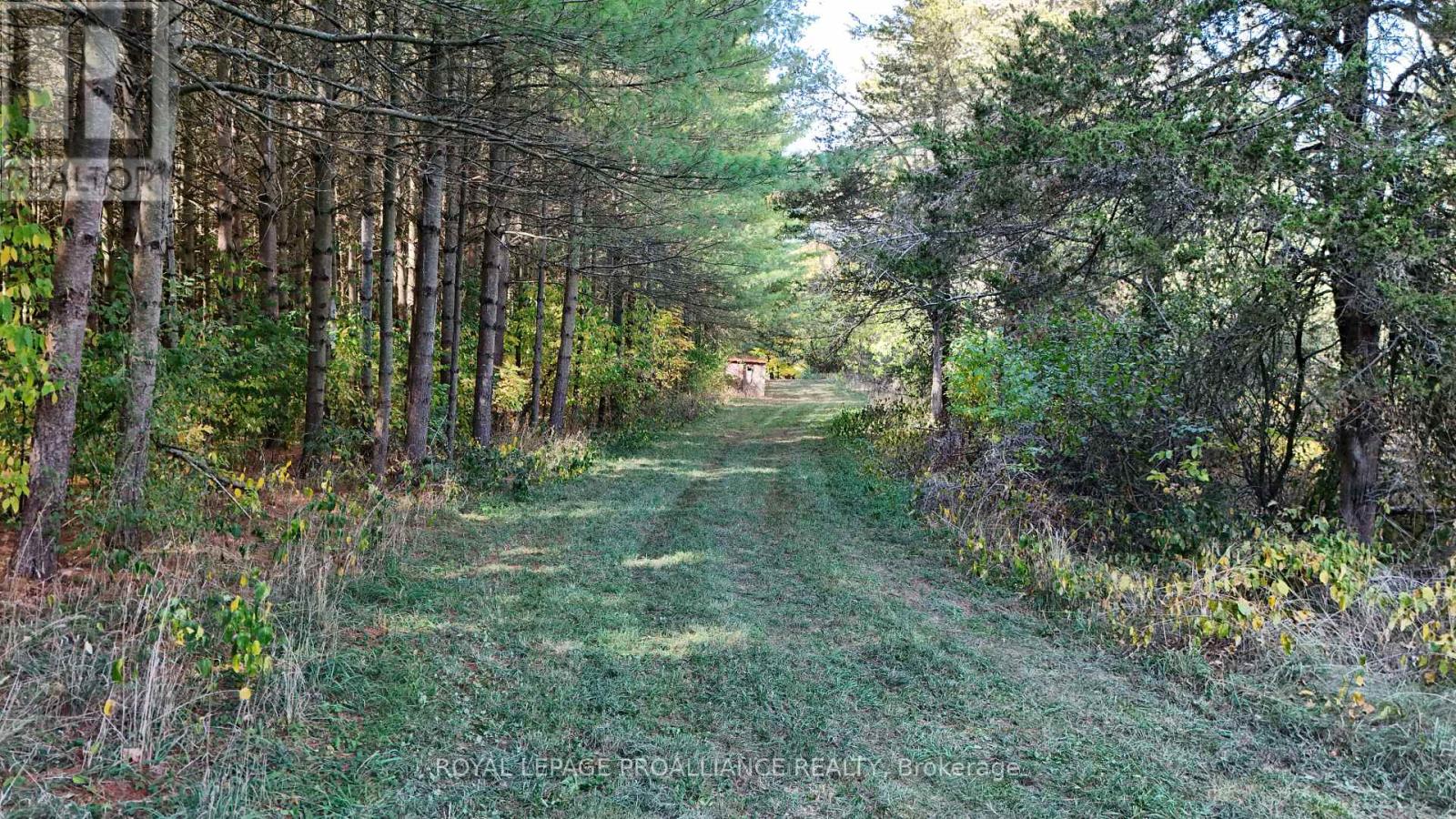 4563 COUNTY 9 ROAD - 43