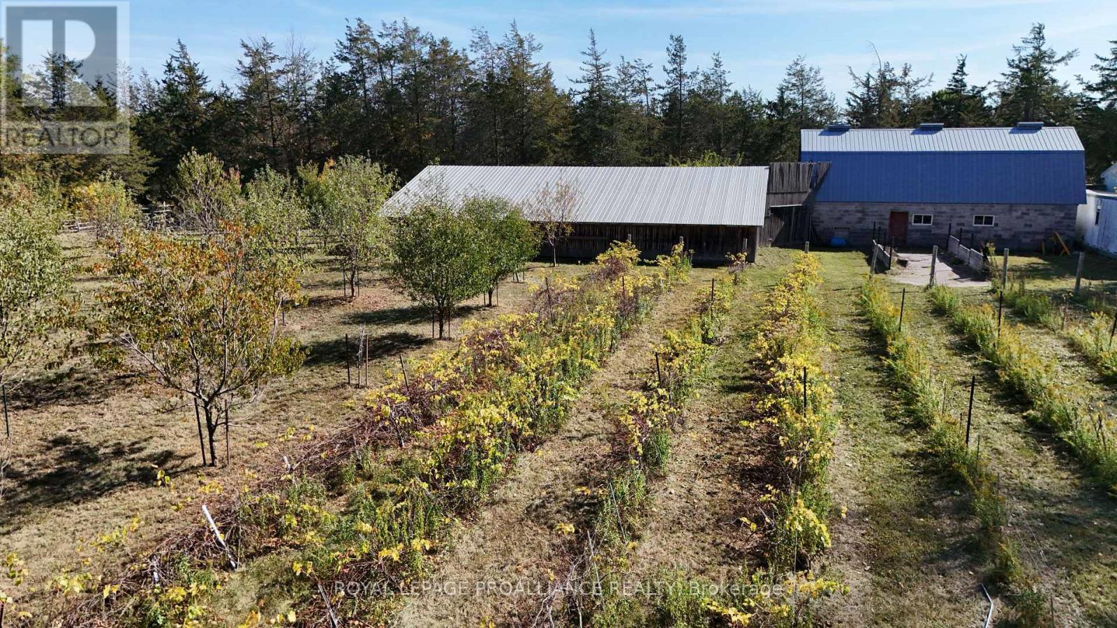 4563 COUNTY 9 ROAD - 48
