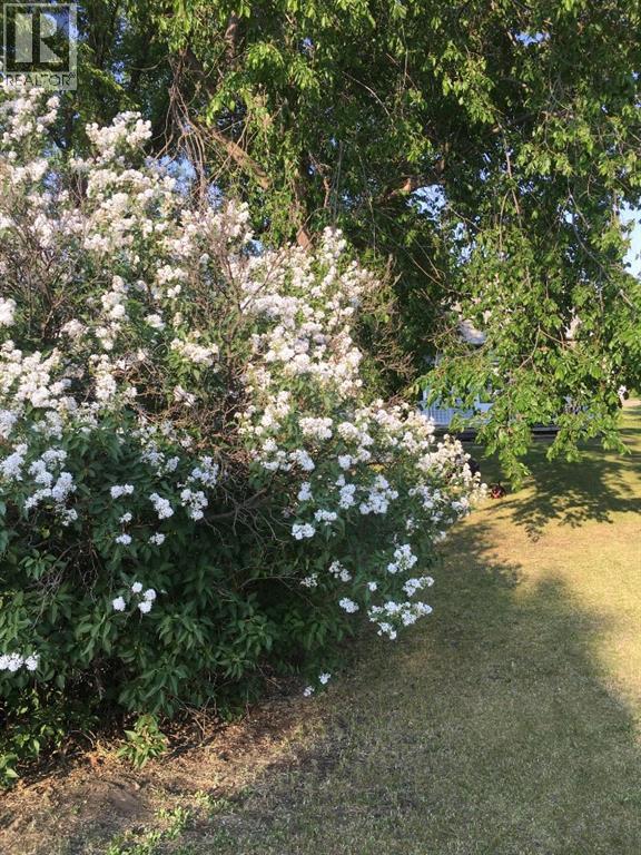 
          5013 49 A Street
            <br/>
            <span>Sedgewick</span>
            , 
            <span>AB</span>
             <span>T0B4C0</span>
         - Photo 23