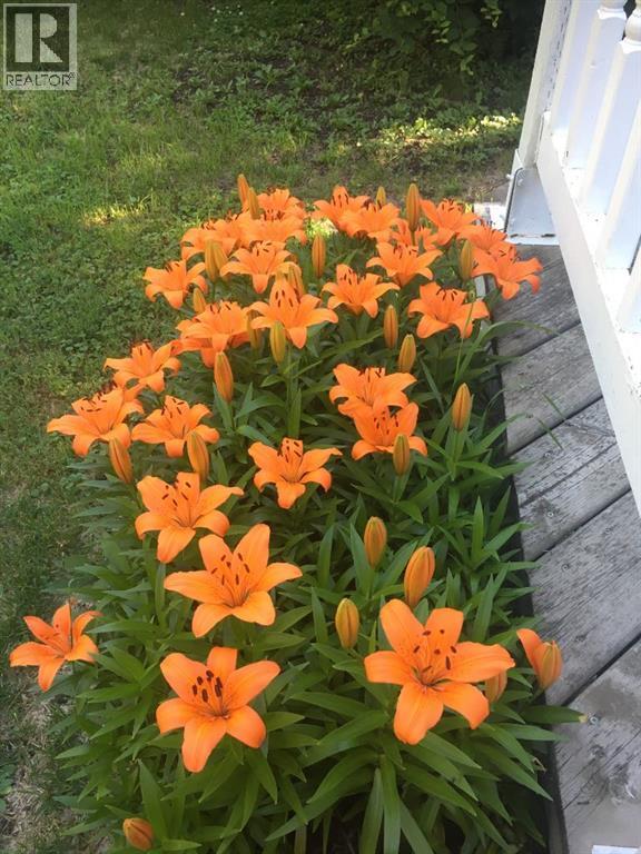 
          5013 49 A Street
            <br/>
            <span>Sedgewick</span>
            , 
            <span>AB</span>
             <span>T0B4C0</span>
         - Photo 24