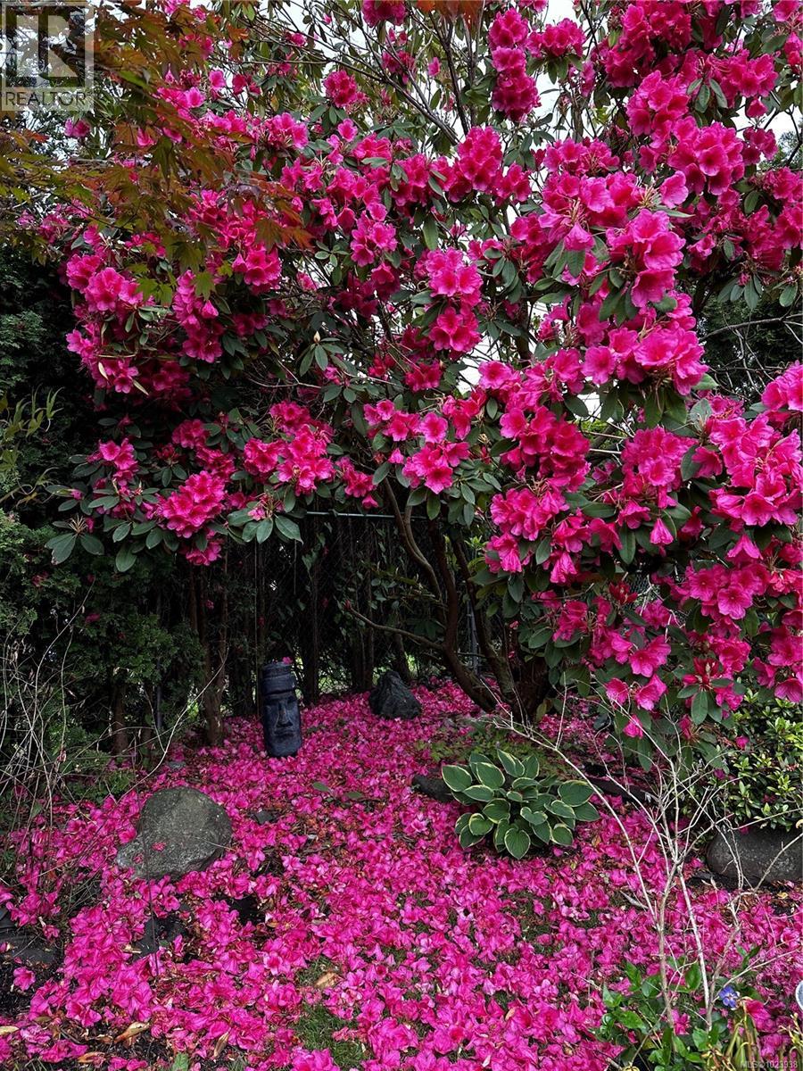  2241 Lifton Place, Saanich