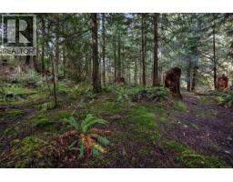 Lot 3 Whittaker Rd, Malahat, BC V0R2L0 Photo 10