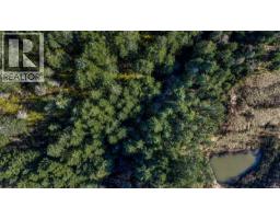 Lot 3 Whittaker Rd, Malahat, BC V0R2L0 Photo 12