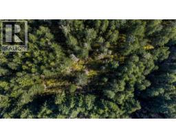 Lot 3 Whittaker Rd, Malahat, BC V0R2L0 Photo 14