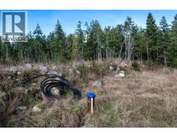 Lot 3 Whittaker Rd, Malahat, BC V0R2L0 Photo 16