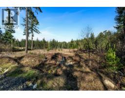 Lot 3 Whittaker Rd, Malahat, BC V0R2L0 Photo 40