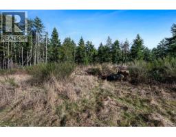 Lot 3 Whittaker Rd, Malahat, BC V0R2L0 Photo 43