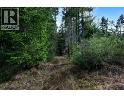 Lot 3 Whittaker Rd, Malahat, BC V0R2L0 Photo 47