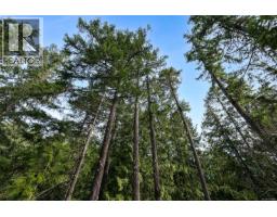 Lot 3 Whittaker Rd, Malahat, BC V0R2L0 Photo 48