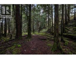Lot 3 Whittaker Rd, Malahat, BC V0R2L0 Photo 49
