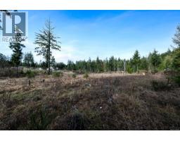 Lot 3 Whittaker Rd, Malahat, BC V0R2L0 Photo 7