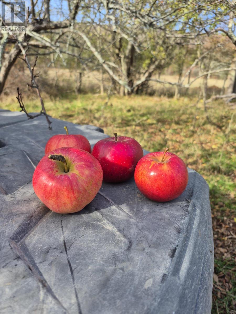 Property 4 of 18 of Lot 2025 Clarence Road