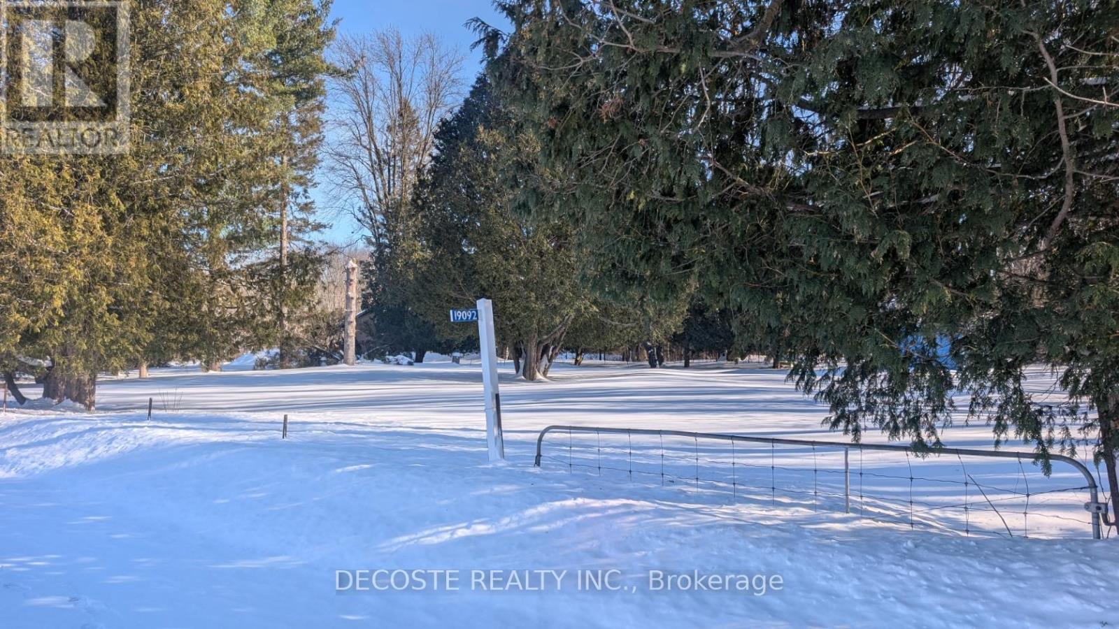 19092 Cameron Street