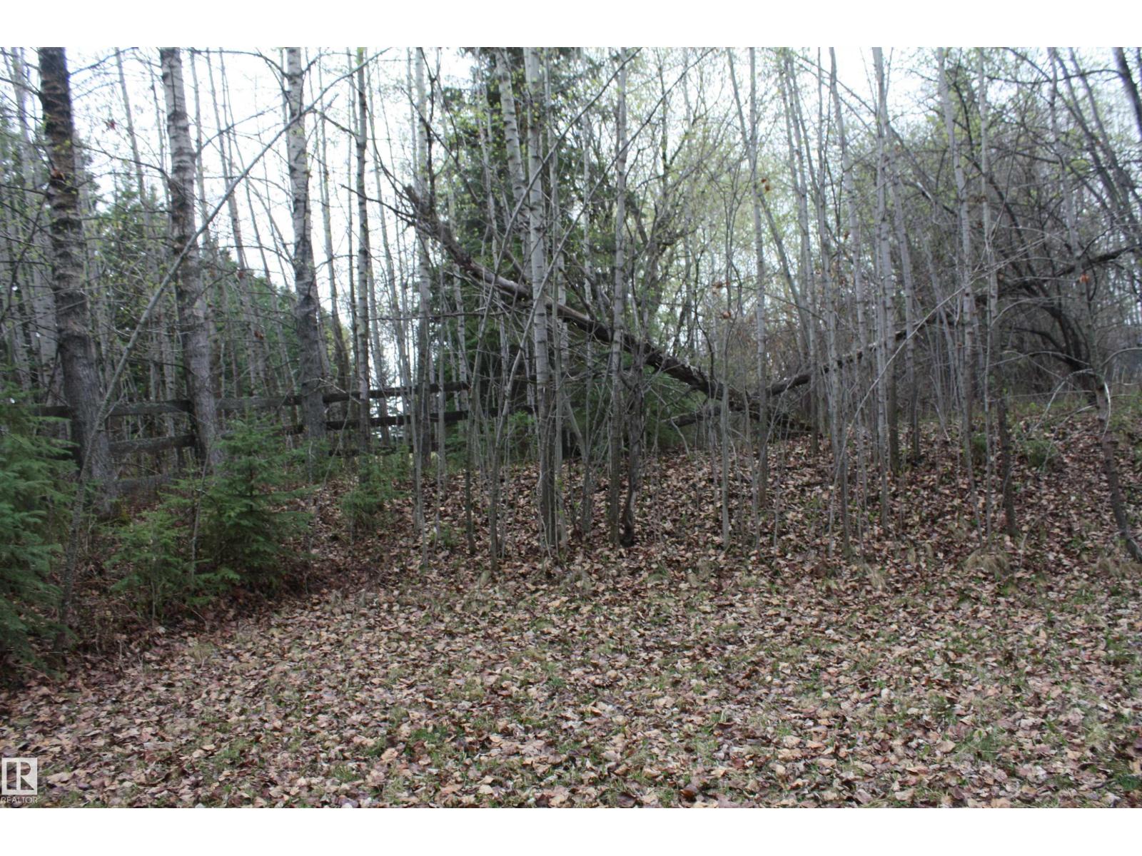 61076 TWP ROAD 462 A - Photo 5 of 8, Rural Wetaskiwin County, Alberta