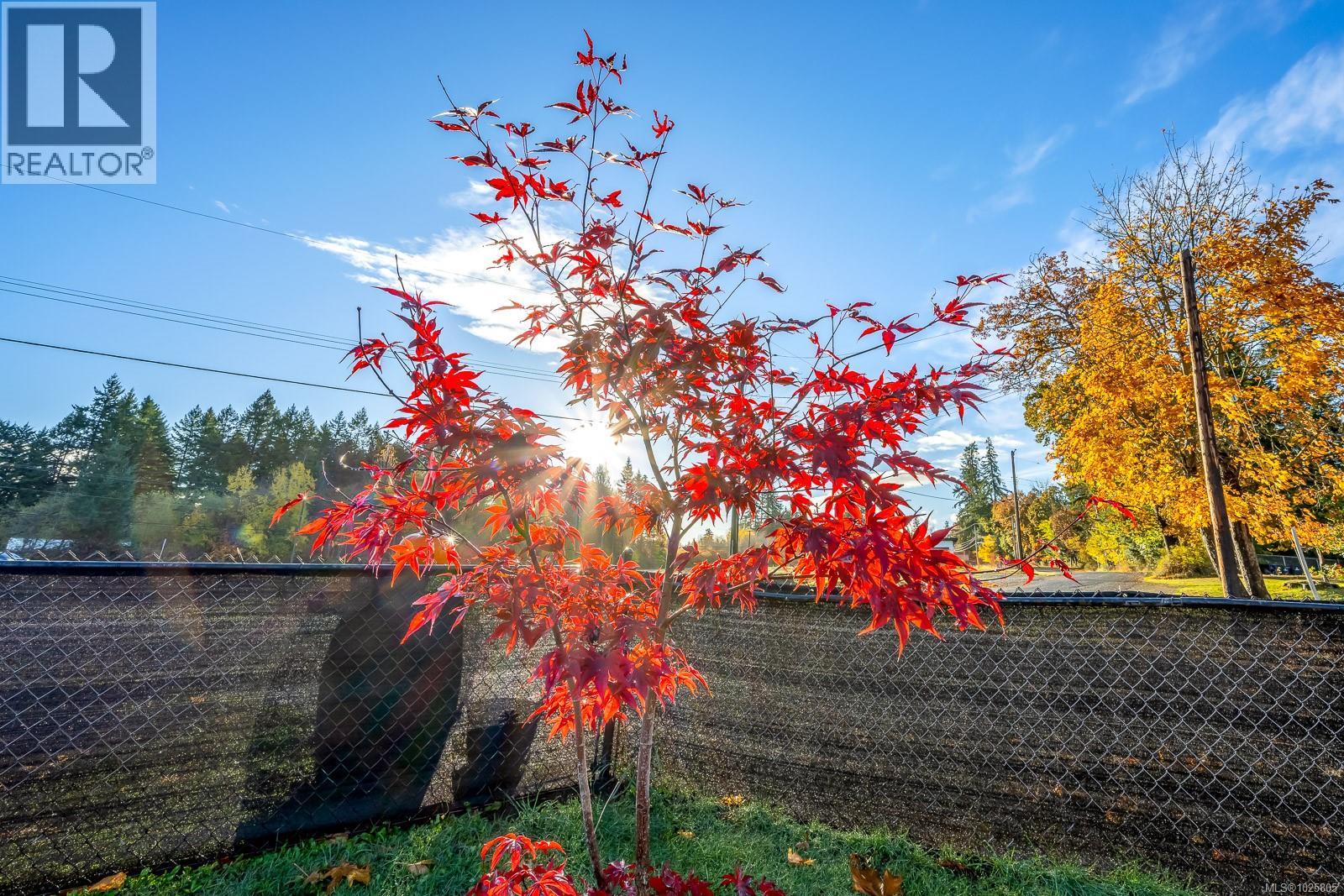 4863 Dundas Rd, Courtenay