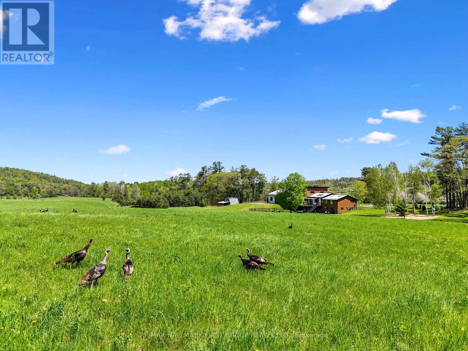 4566 HARWOOD ROAD - 44