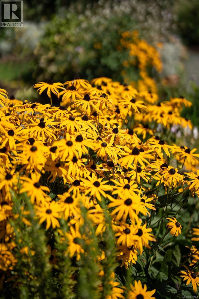  735 Arden Road, Metchosin