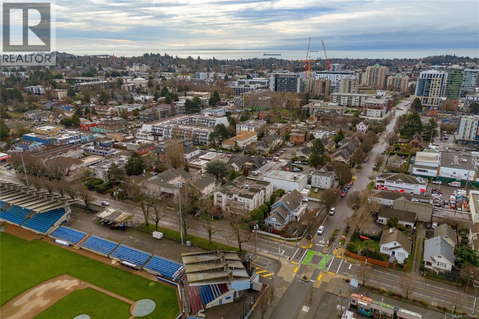 201 1007 Caledonia Avenue, Victoria