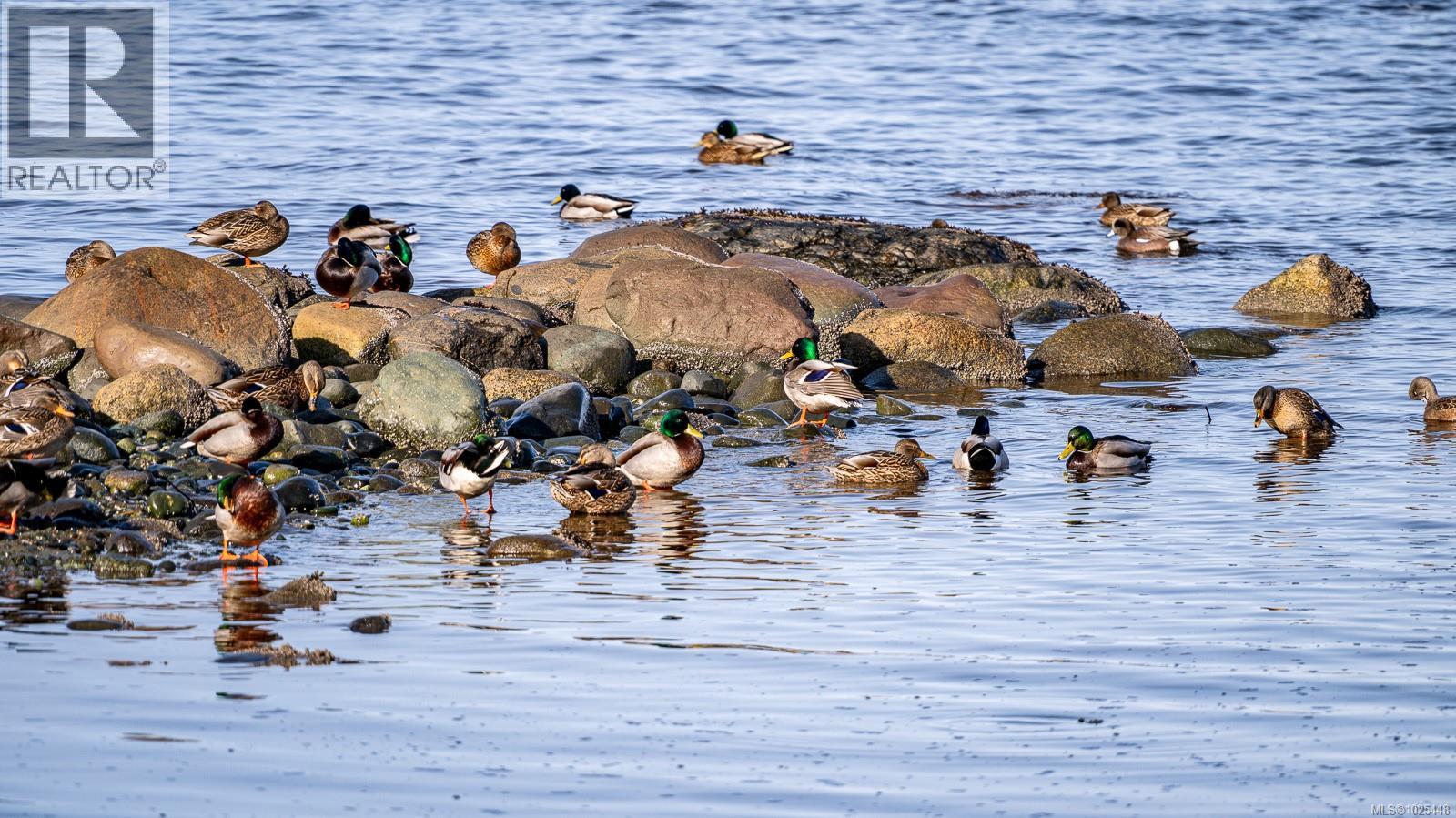 1426 Wilkinson Rd, Comox