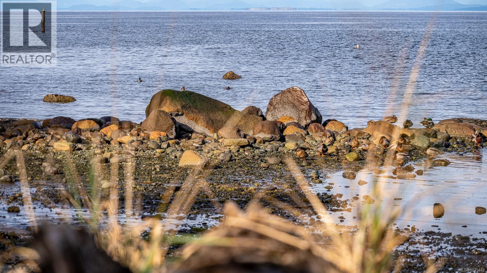 1426 Wilkinson Rd, Comox