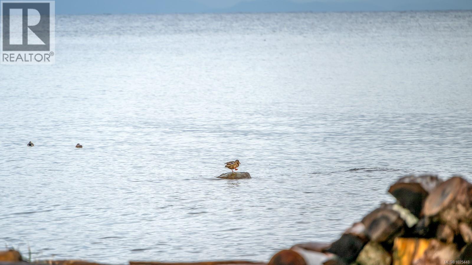 1426 Wilkinson Rd, Comox