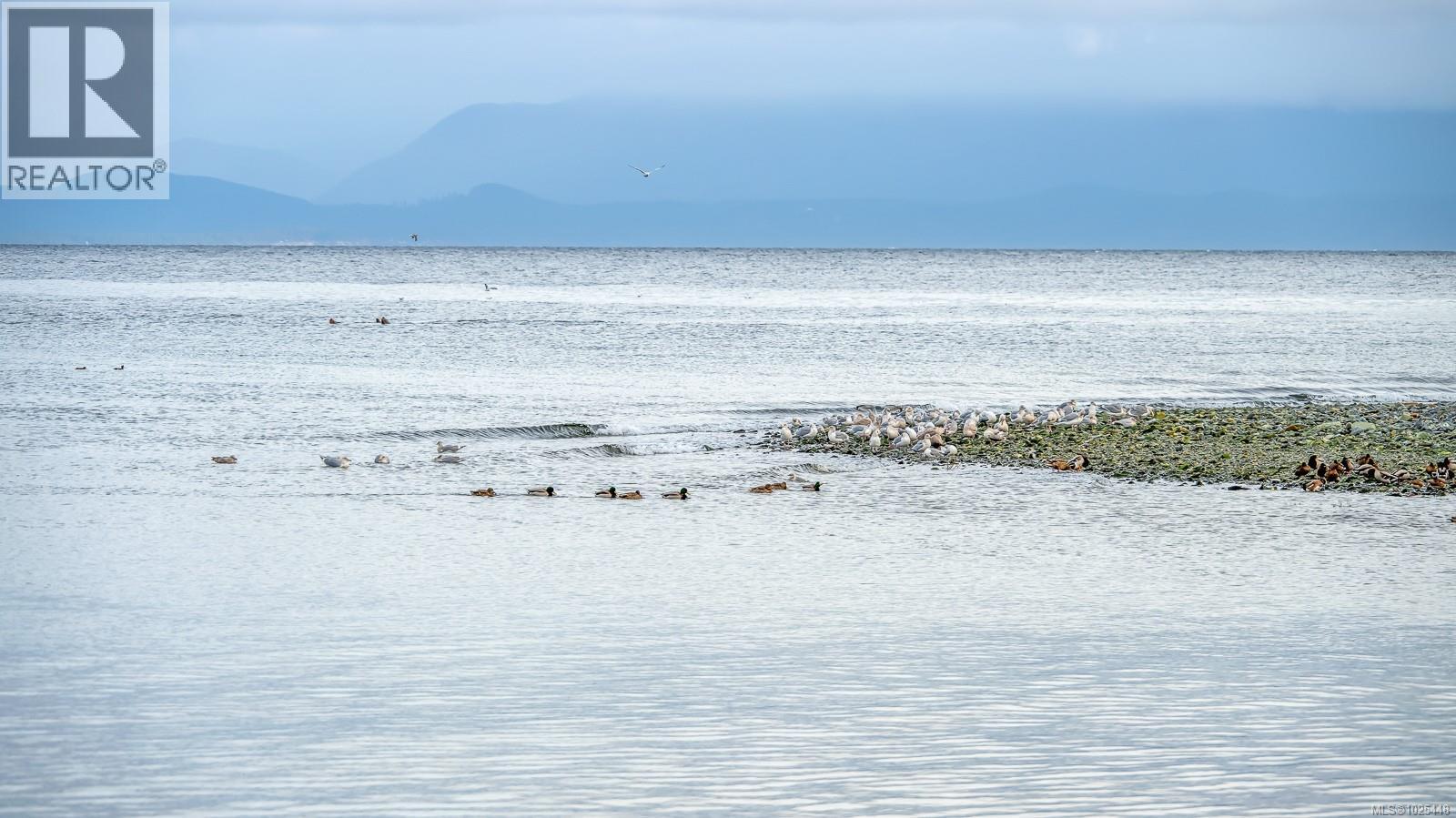 1426 Wilkinson Rd, Comox