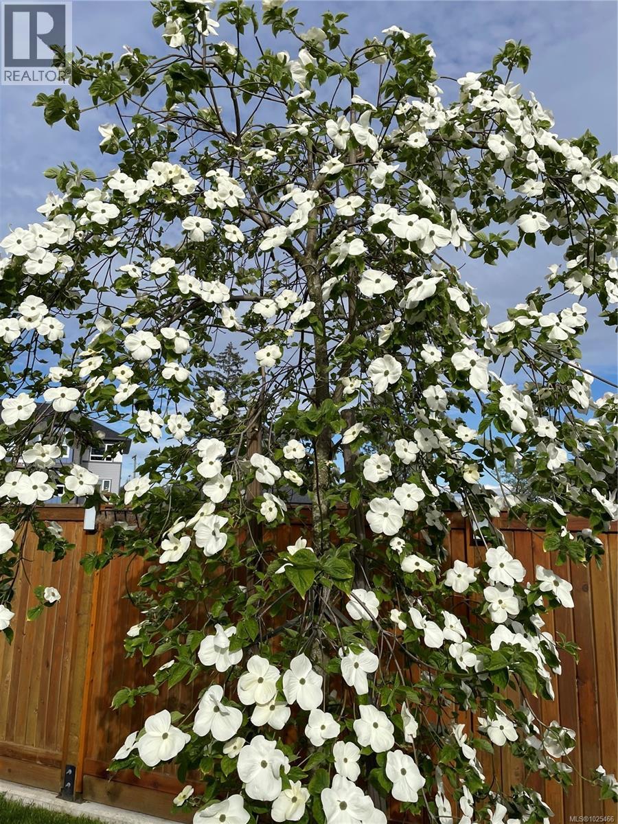 3327 Painter Rd, Colwood