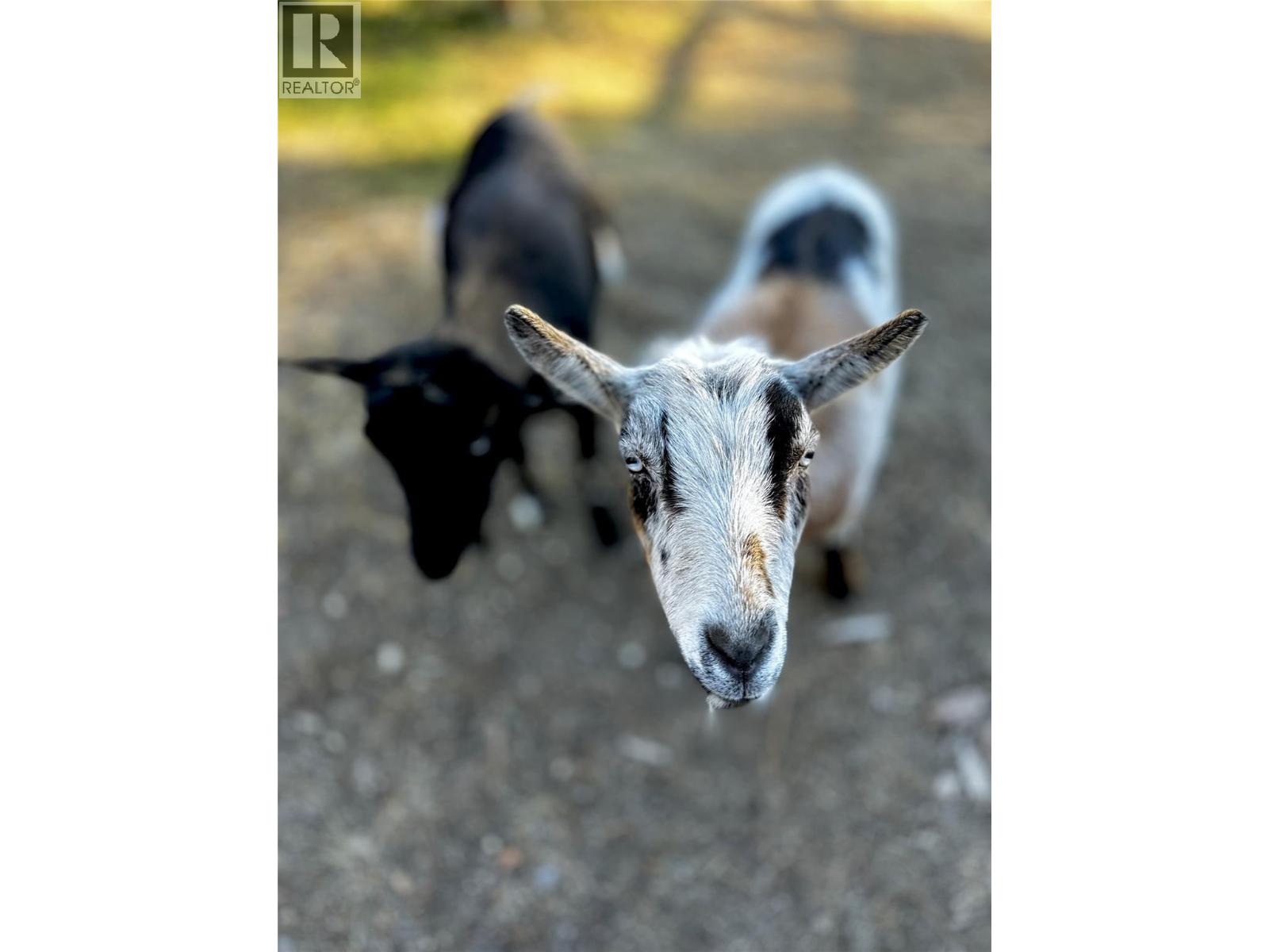 7502 Highway 95A, Kimberley