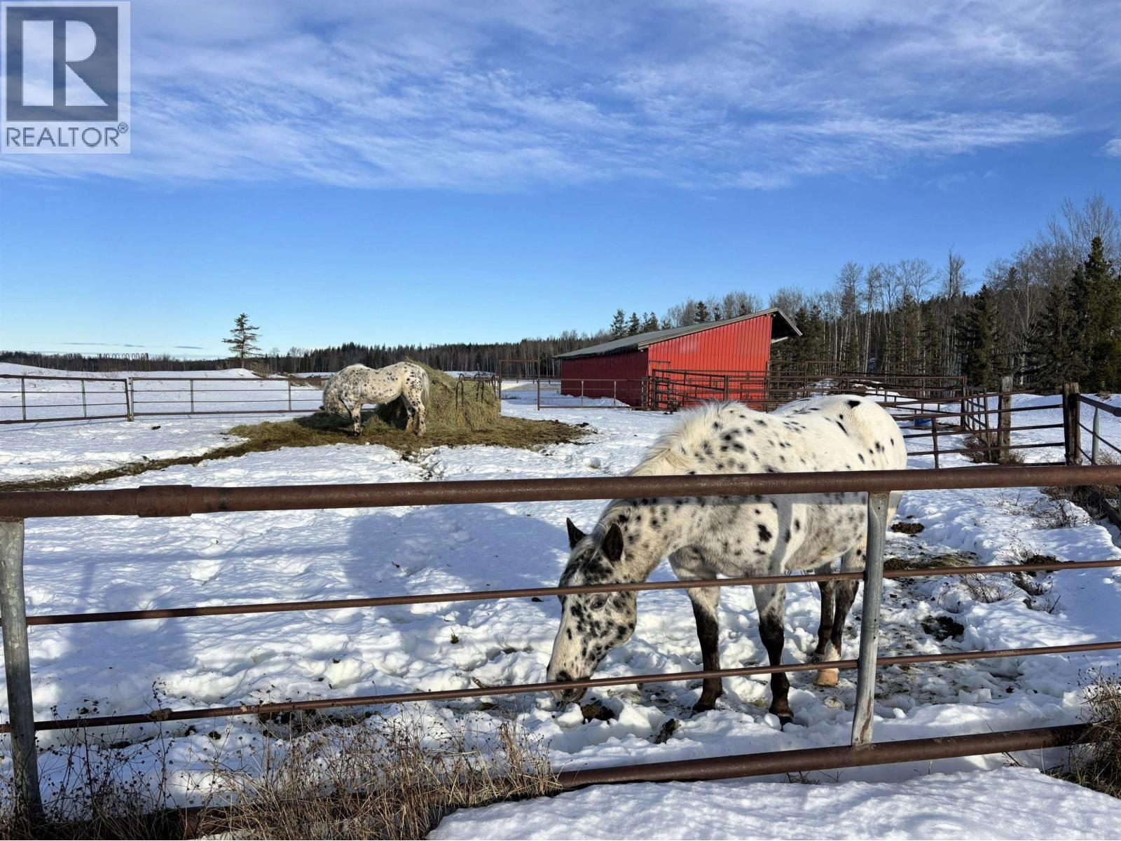 12090 BUCKHORN LAKE ROAD - 12