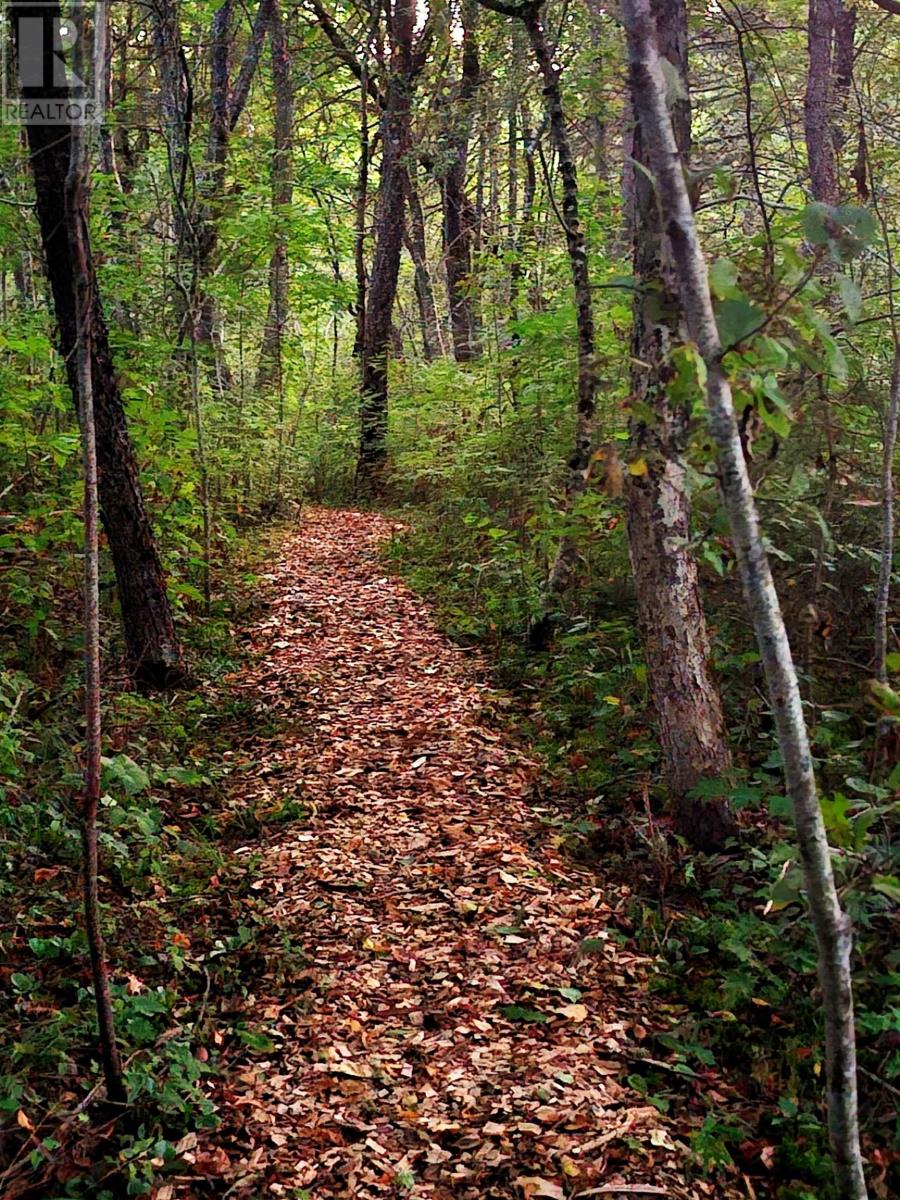 Property 33 of 49 of 33 Kirk Road